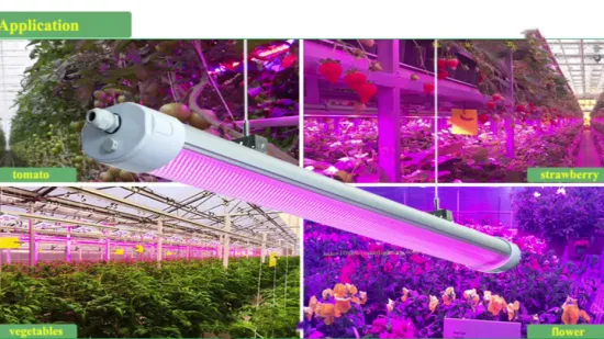 Розовый спектр/полный спектр водонепроницаемый светодиодный светильник для выращивания растений 150 Вт с медицинской рассадой/выращиванием томатов
